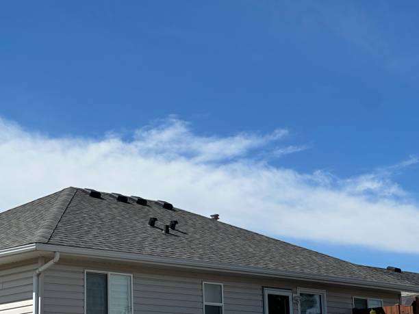 Best Slate Roofing  in Tool, TX